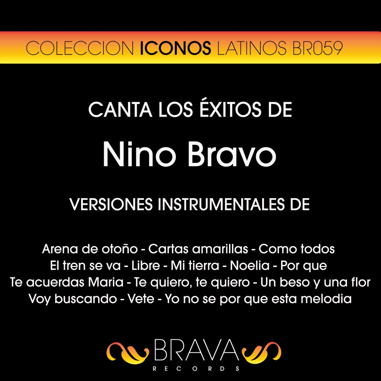 Постер альбома Canta los Exitos de Nino Bravo