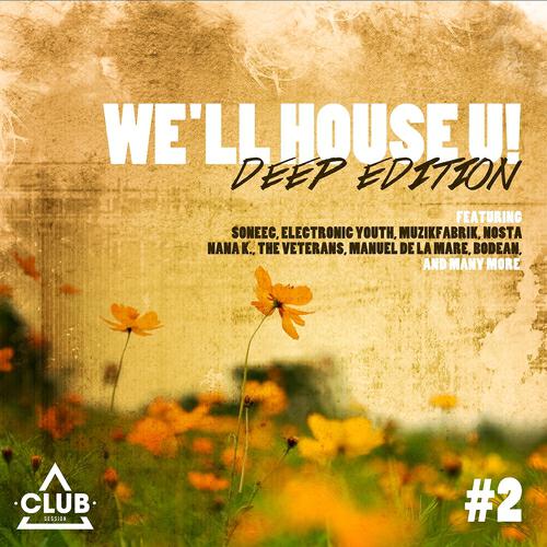DBN - Cold Blooded Thieves (Comon Dub)