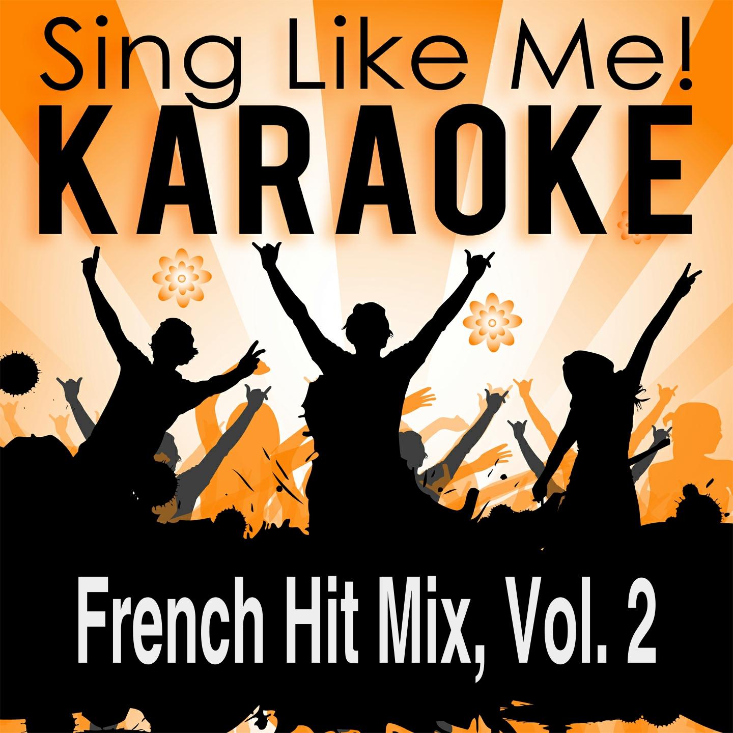 Постер альбома French Hit Mix, Vol. 2 (Karaoke Version)