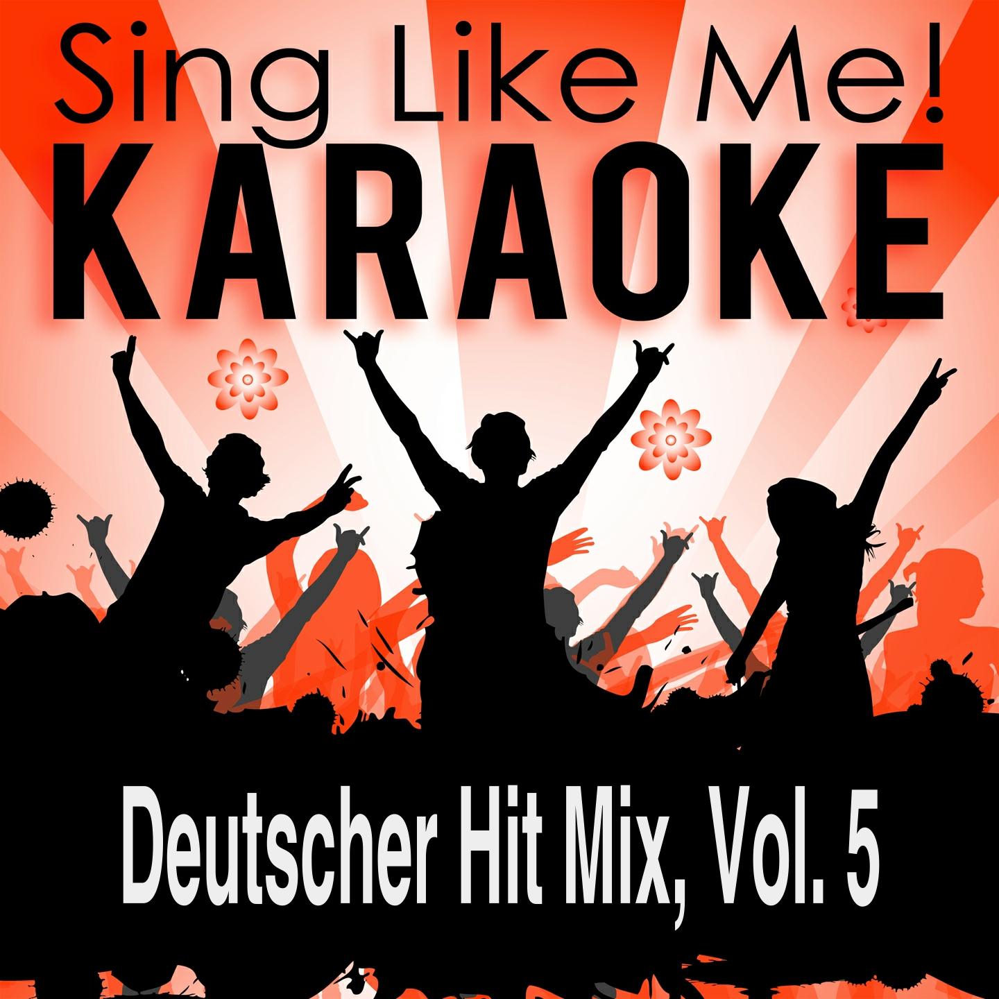 Постер альбома Deutscher Hit Mix, Vol. 5 (Karaoke Version)