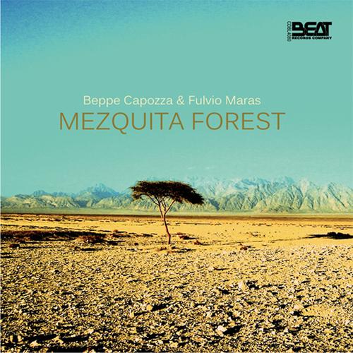 Постер альбома Mezquita Forest