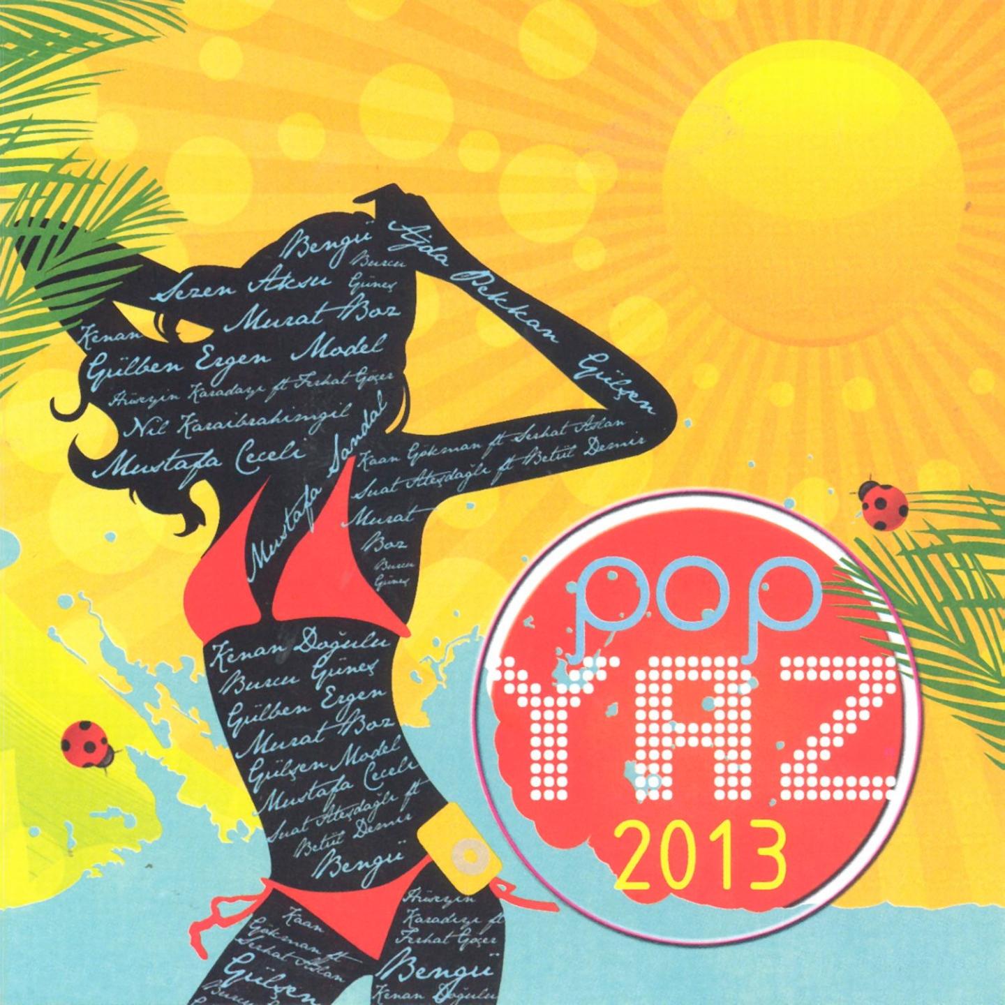 Постер альбома Pop Yaz 2013