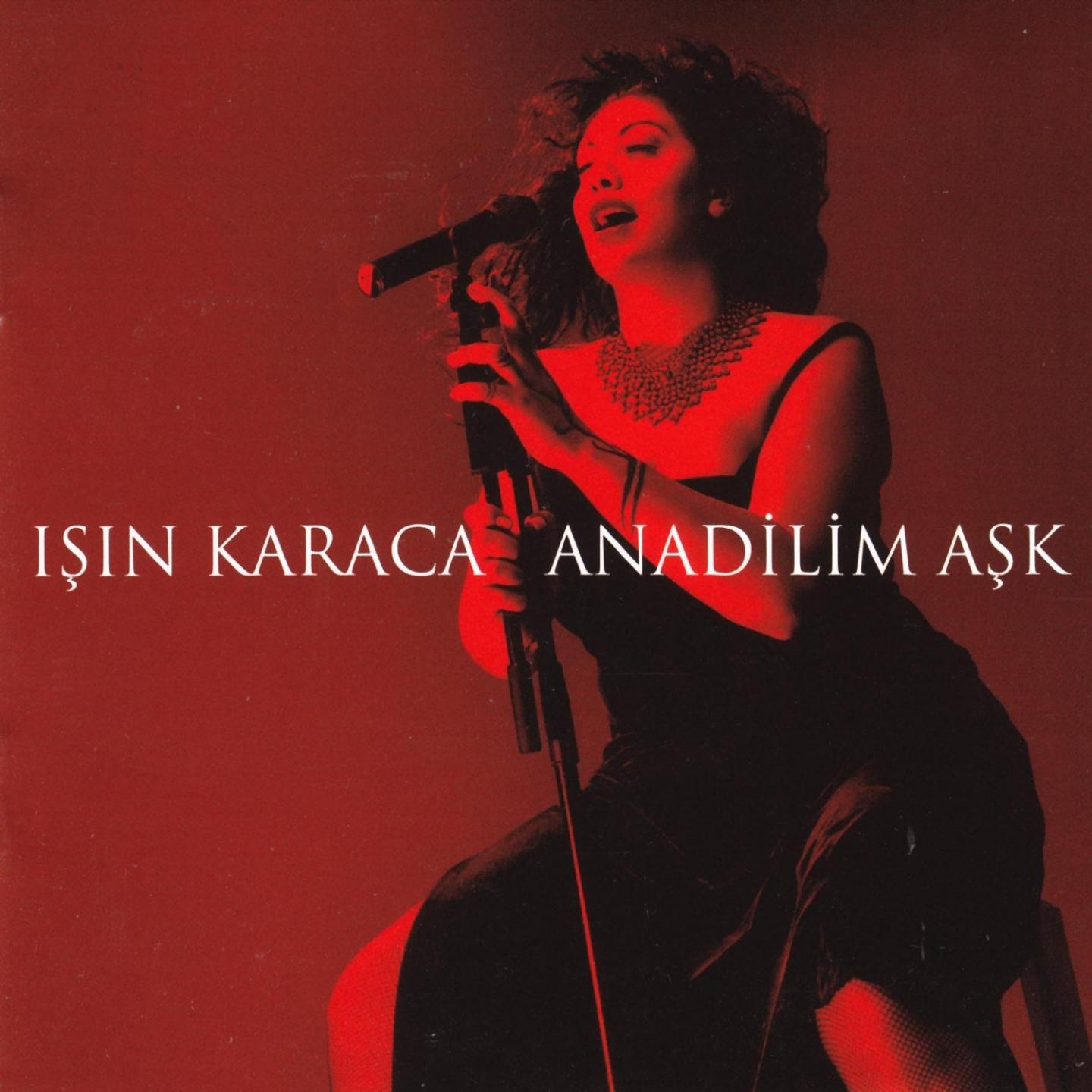 Постер альбома Anadilim Aşk