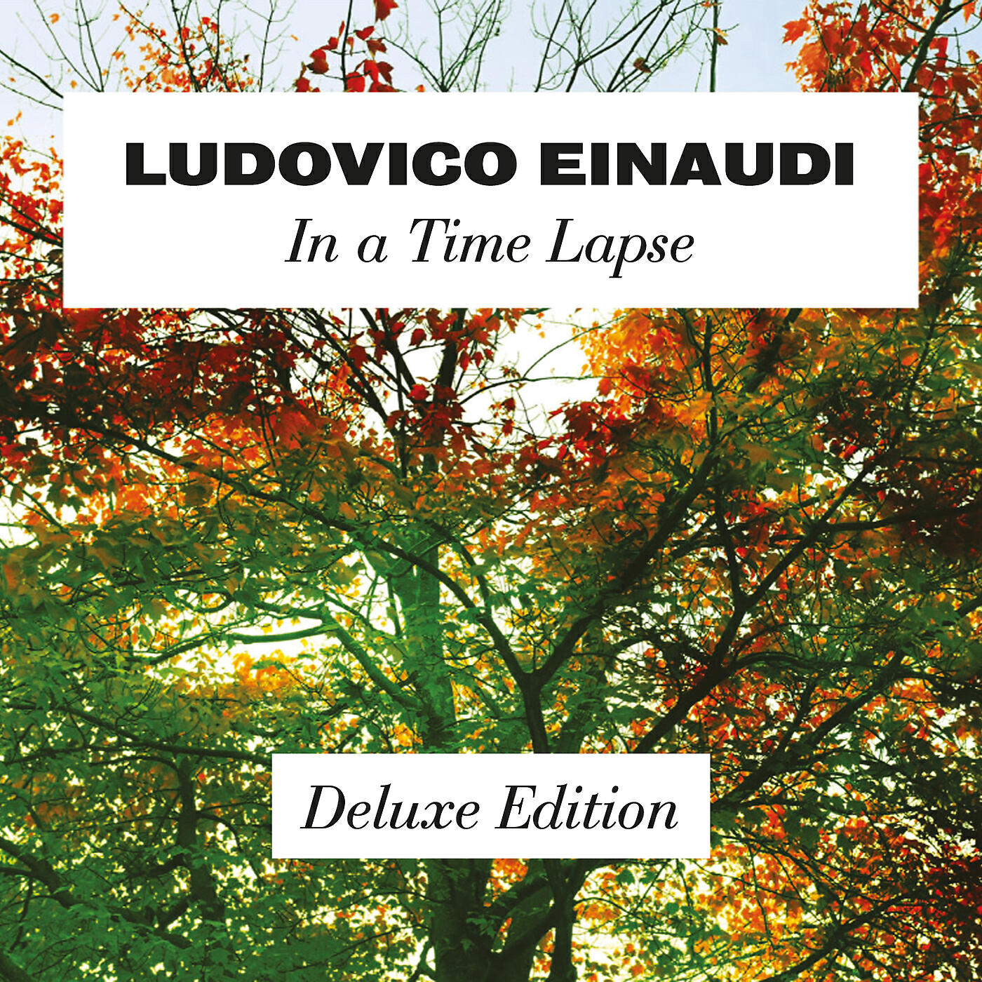 Ludovico Einaudi - Einaudi: Life