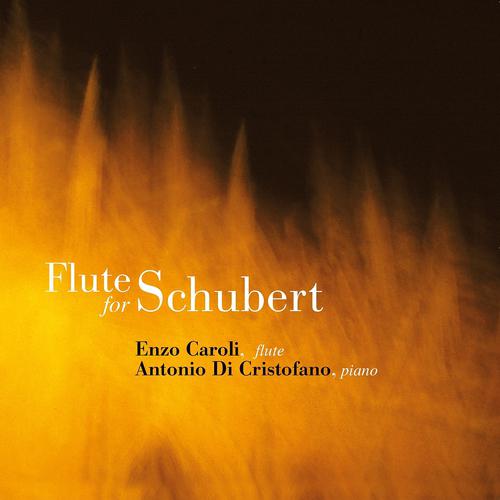 Постер альбома Flute for Schubert