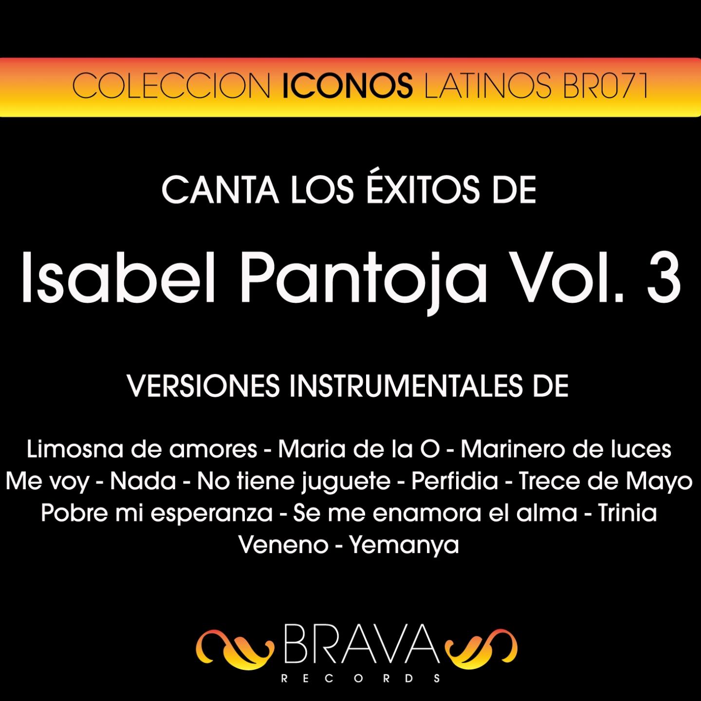 Постер альбома Canta los Exitos de Isabel Pantoja #3