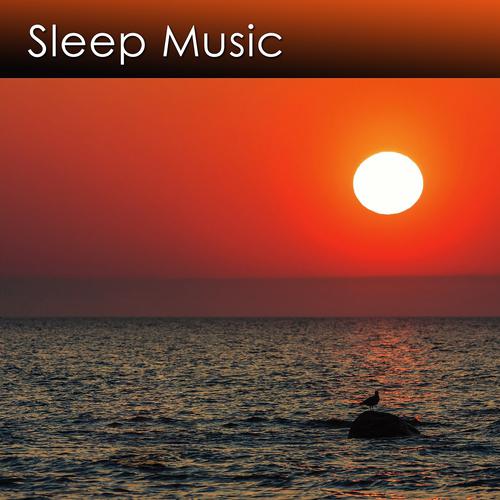 Dr. Harry Henshaw - Sleep Music With Forest (Sleep Music for Sound Sleeping)