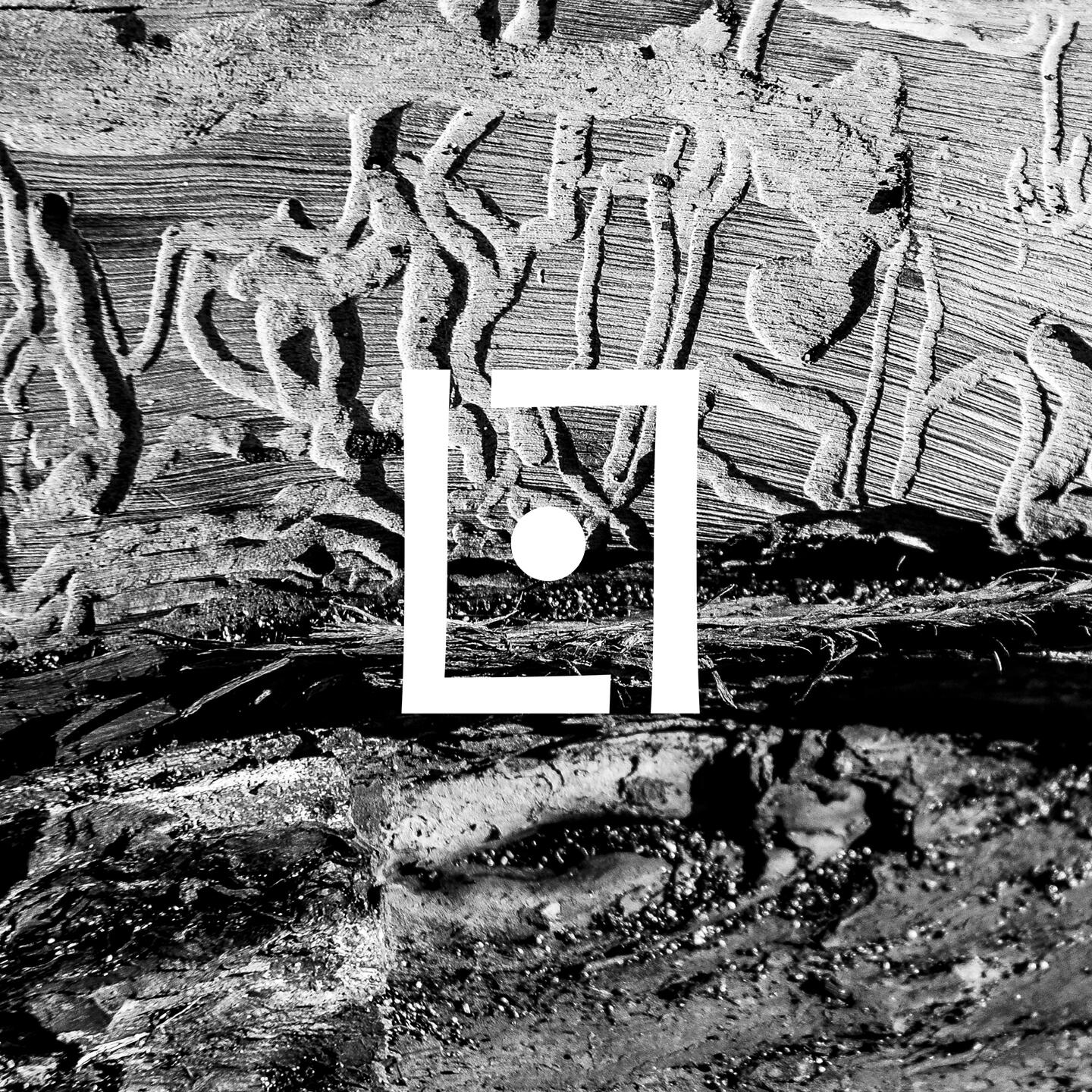 Lunar Lodge - The Arrival