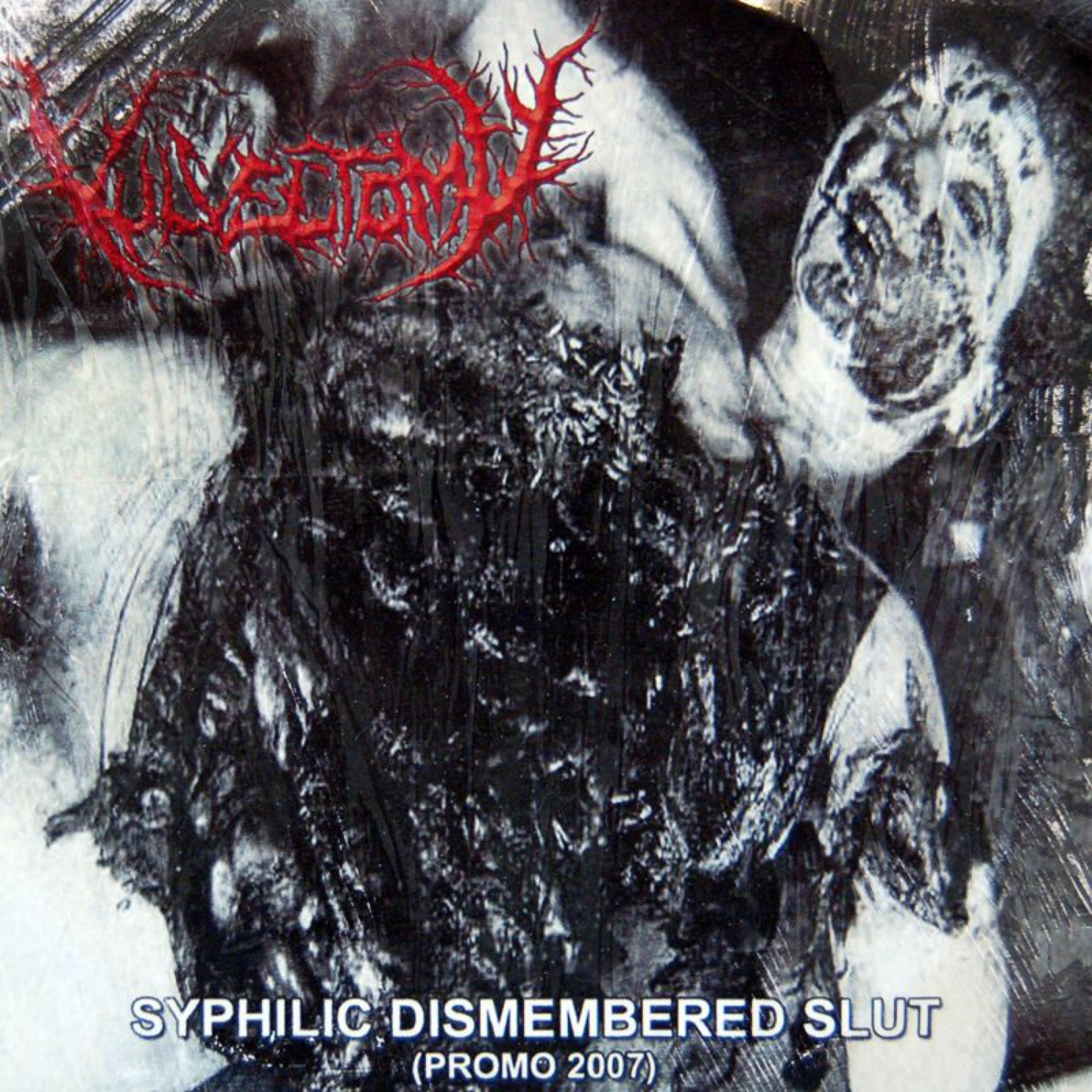Постер альбома Syphilic Dismembered Slut