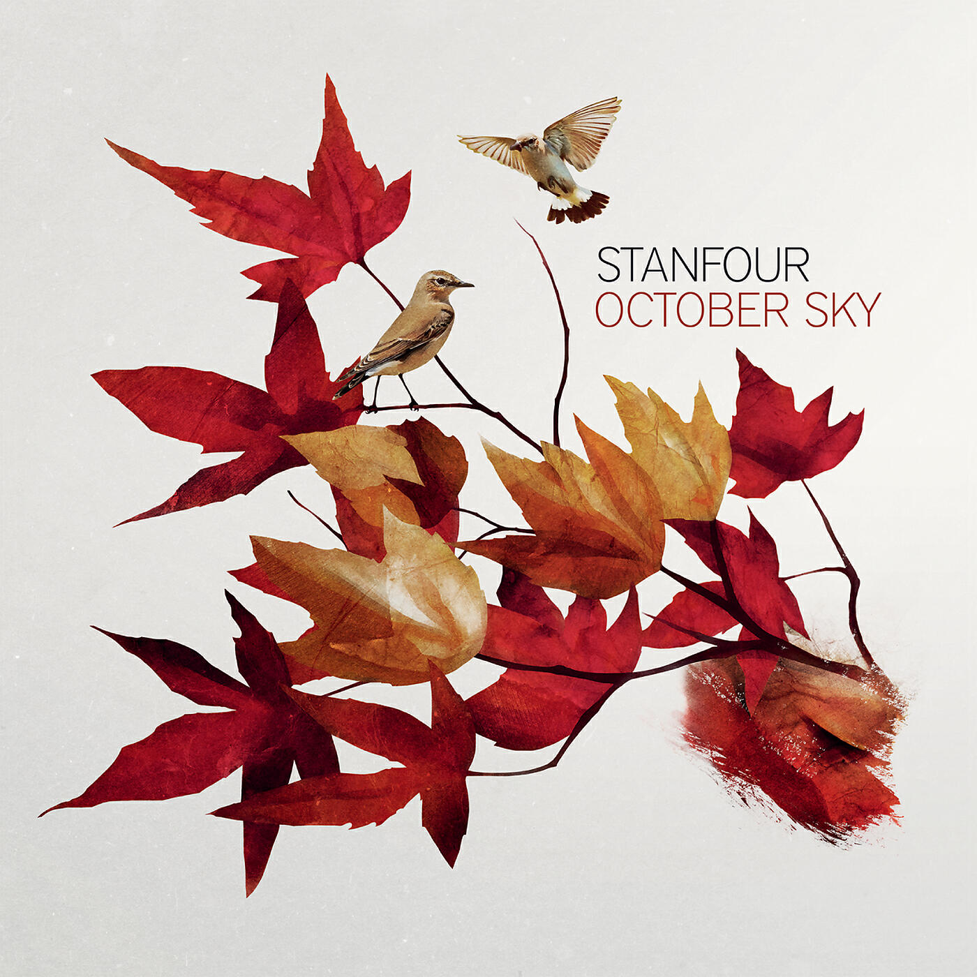 Stanfour - When The Lights Go On