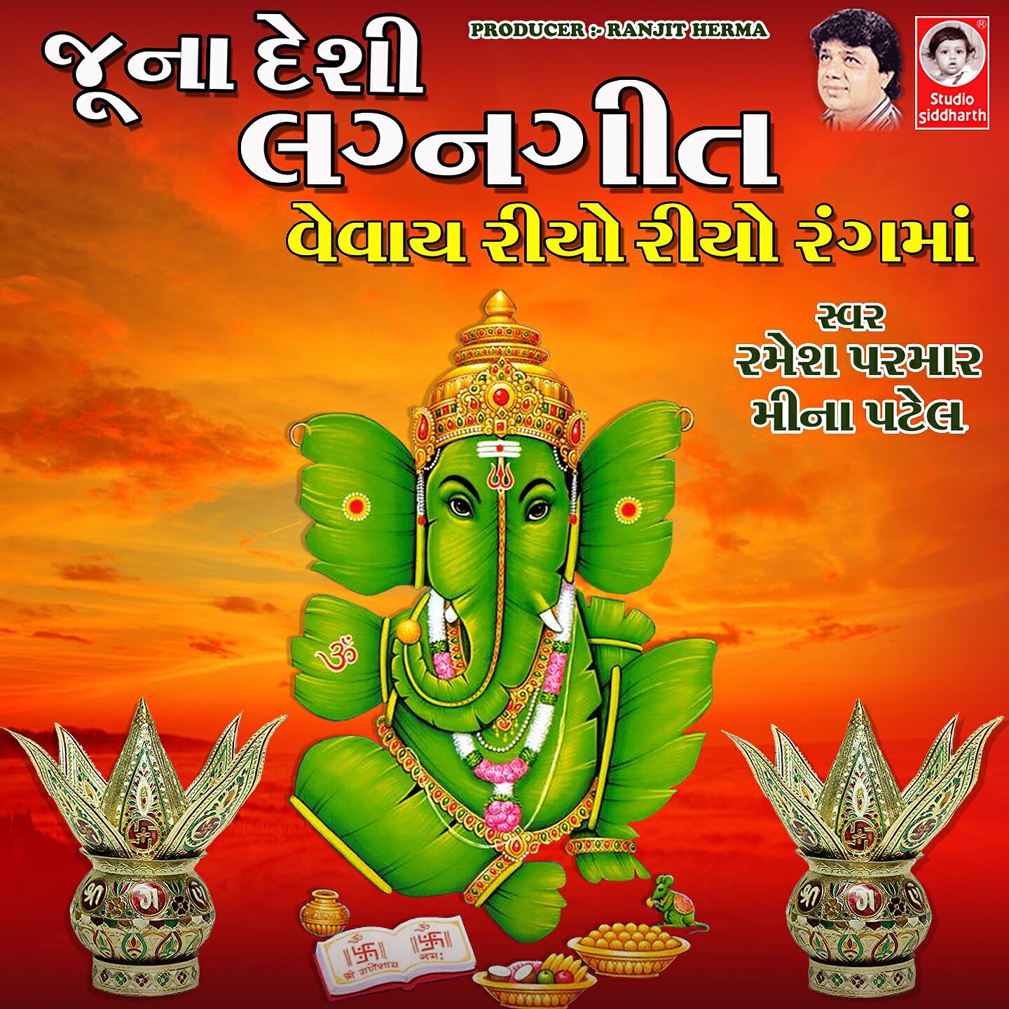 Meena Patel - Chete Thi Ame Aaviya Mara Vala Vevai