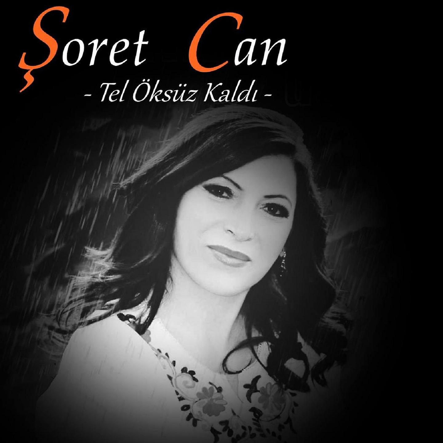 Постер альбома Tel Öksüz Kaldı