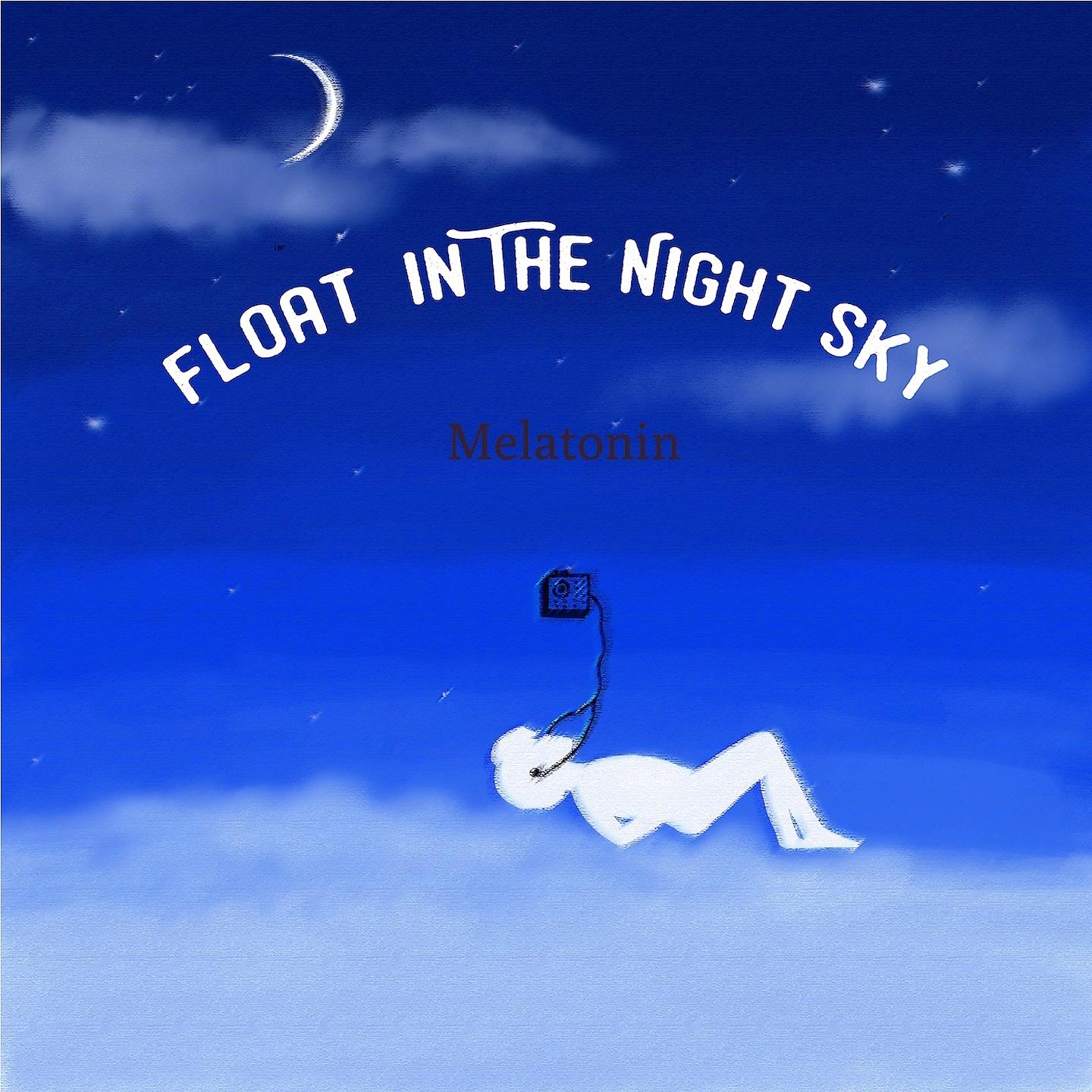 Постер альбома Float in the Night Sky