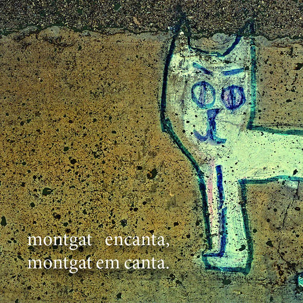 Постер альбома Montgat Encanta, Montgat Em Canta.