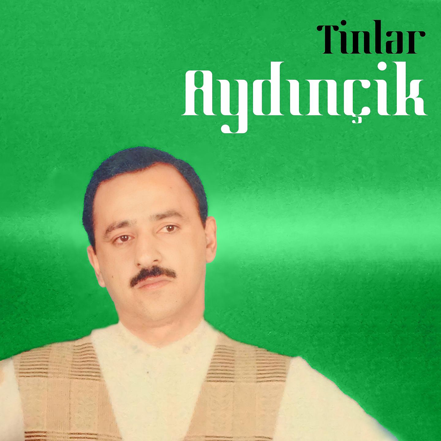 Постер альбома Tinlər