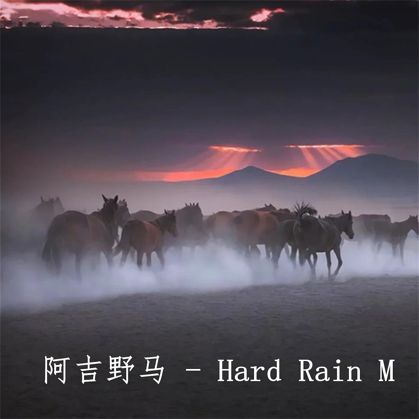 Постер альбома Hard Rain M