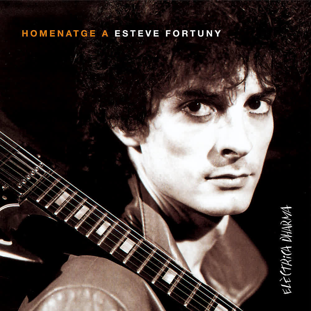 Companyia Elèctrica Dharma - Alguns Ocells Són Flames