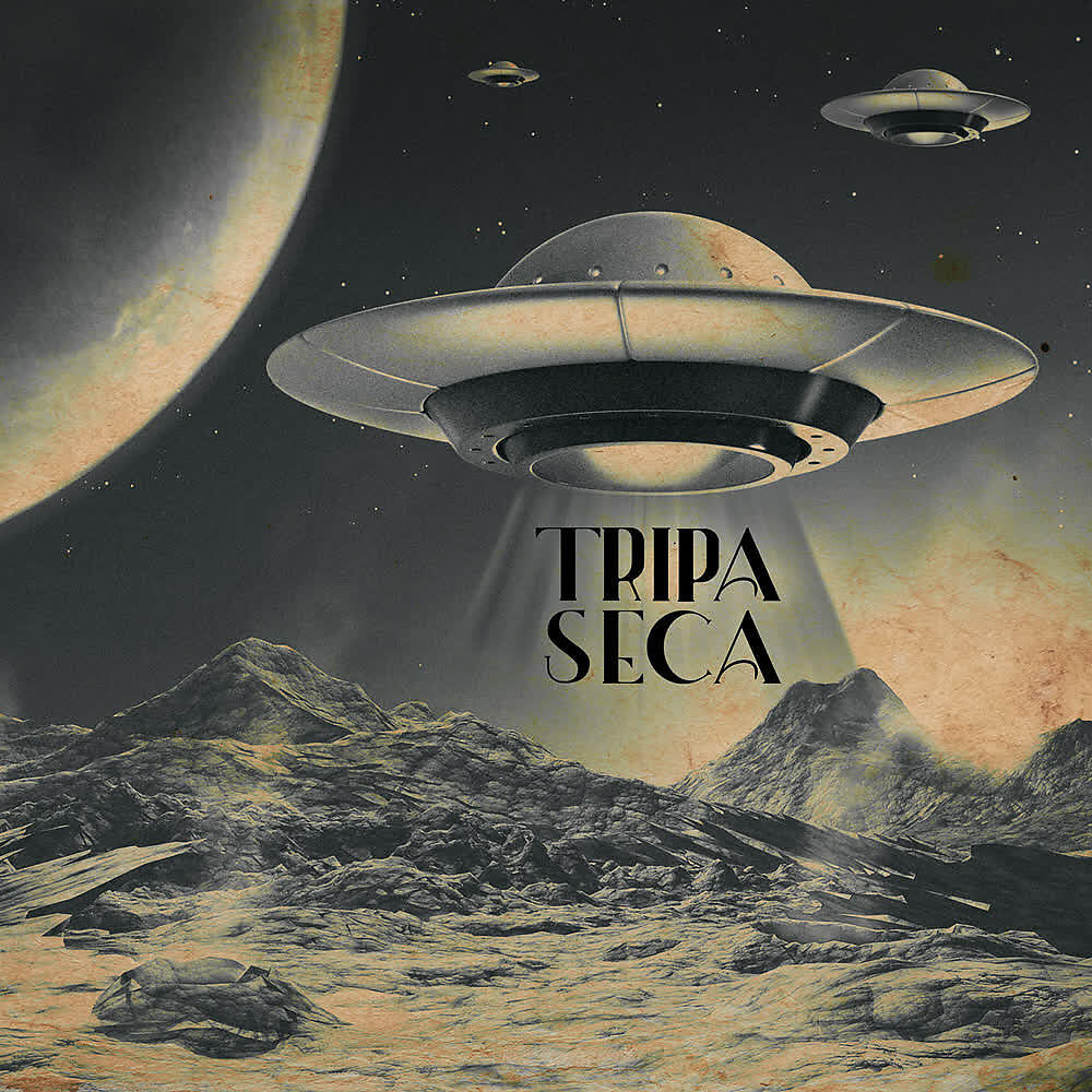 Tripa Seca - Cicatrizes