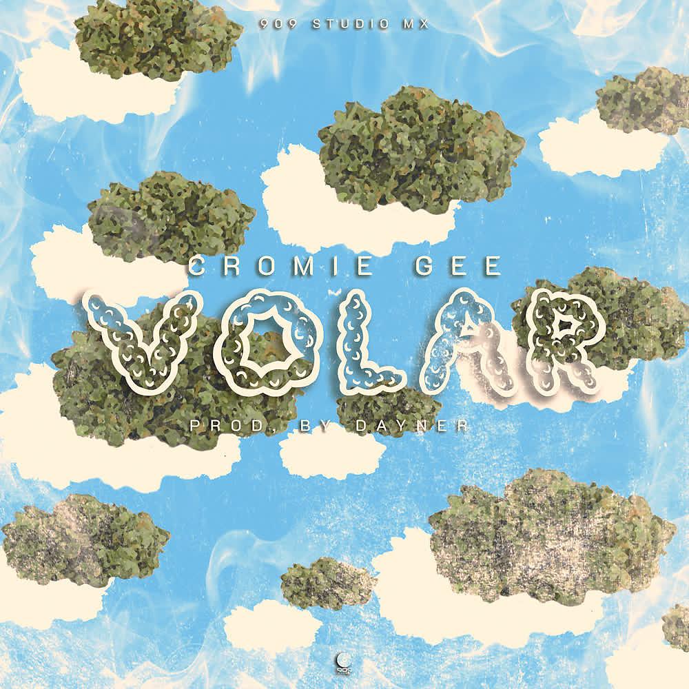 Постер альбома Volar