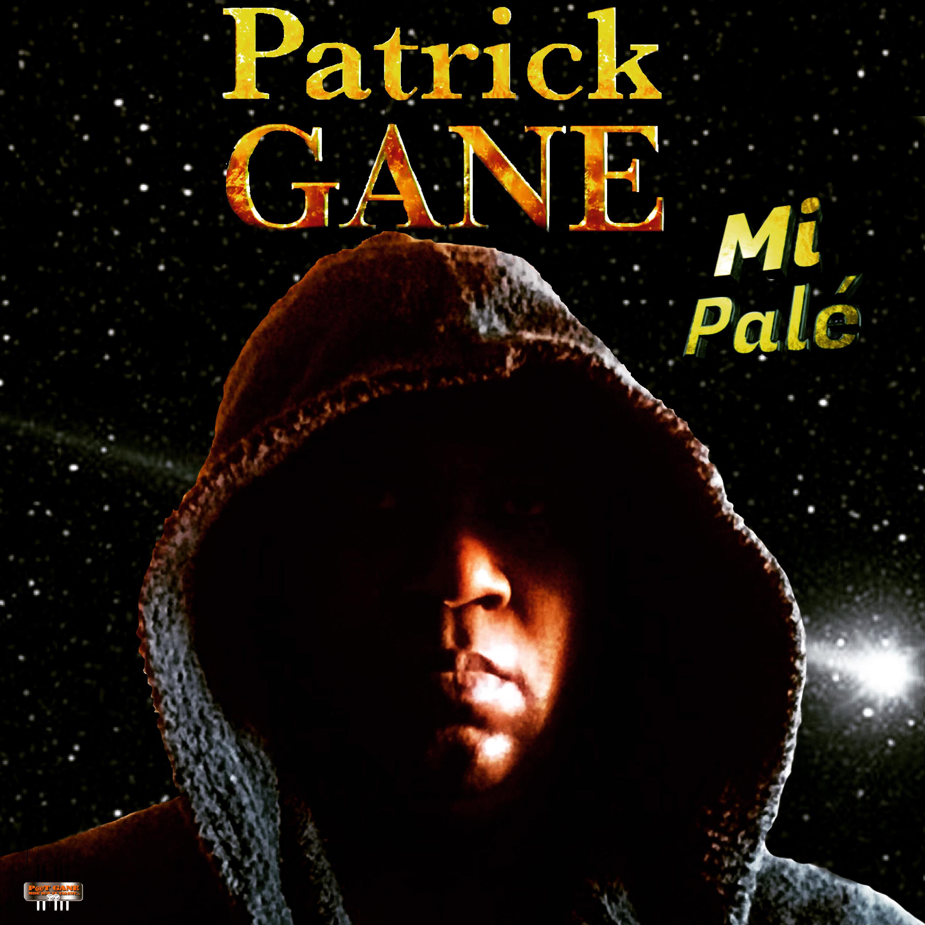 Постер альбома Mi palé