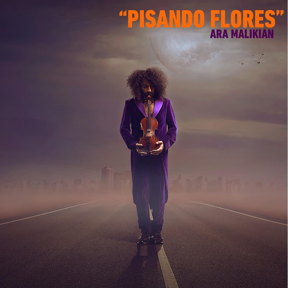 Постер альбома Ara Malikian: Pisando Flores