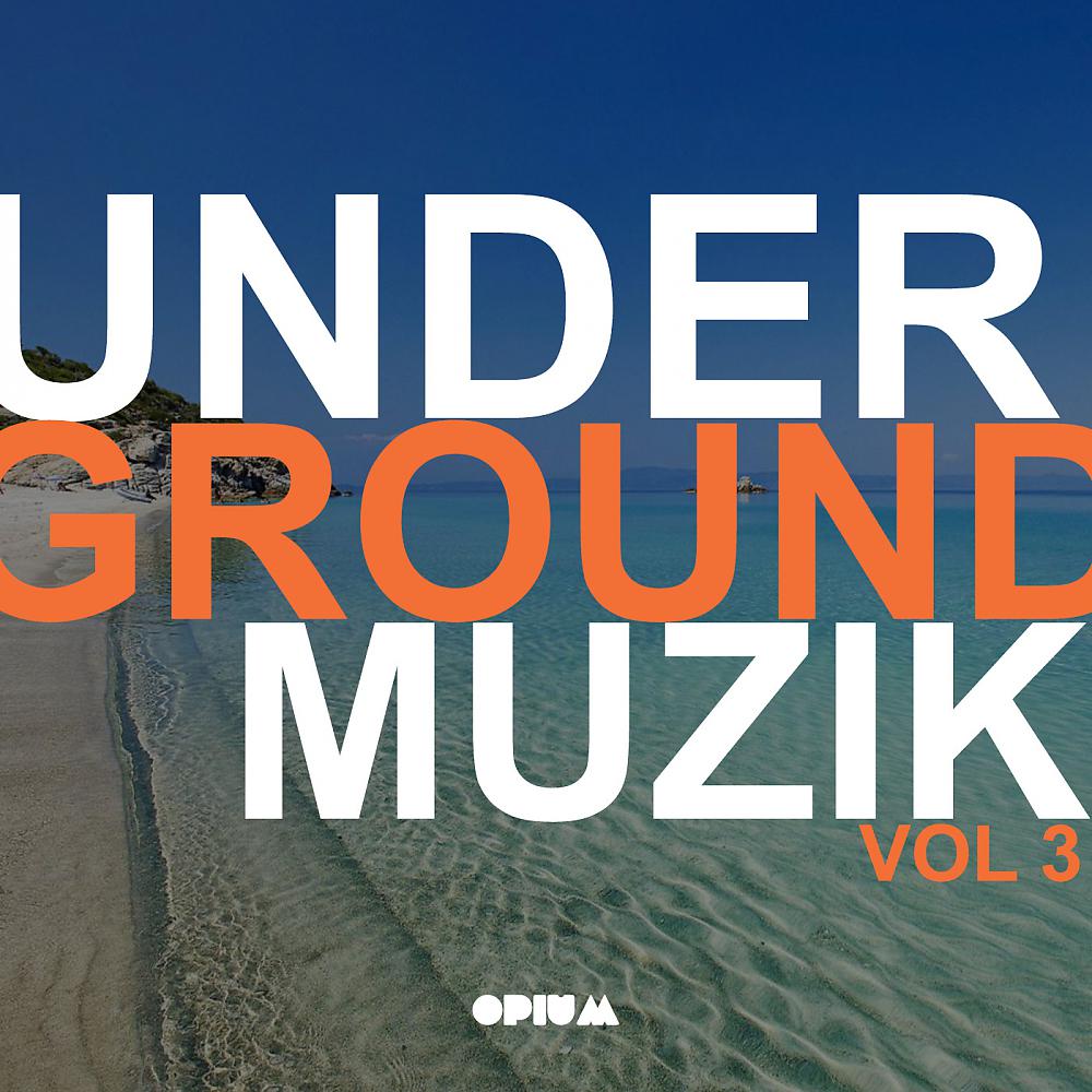 Постер альбома Undergroundmuzik Vol 3
