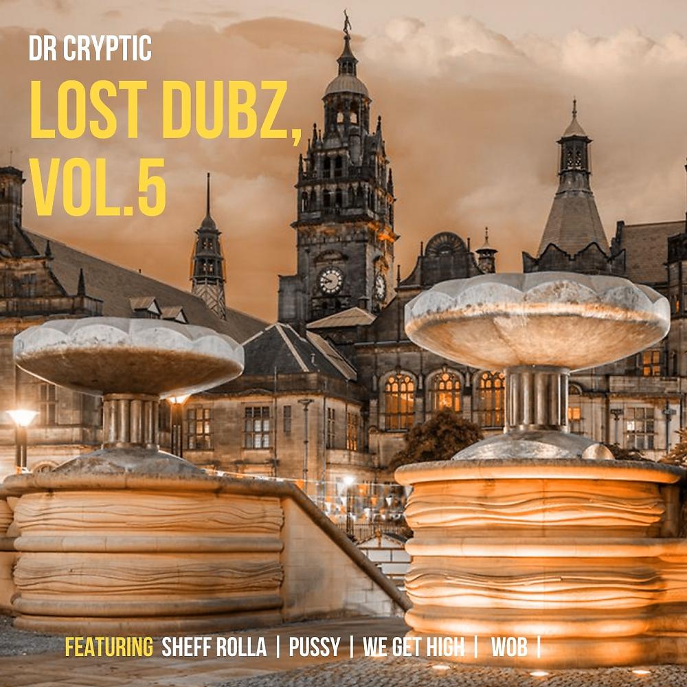 Постер альбома Lost Dubz, Vol. 5