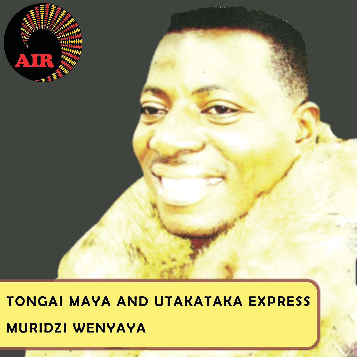 Постер альбома Muridzi Wenyaya