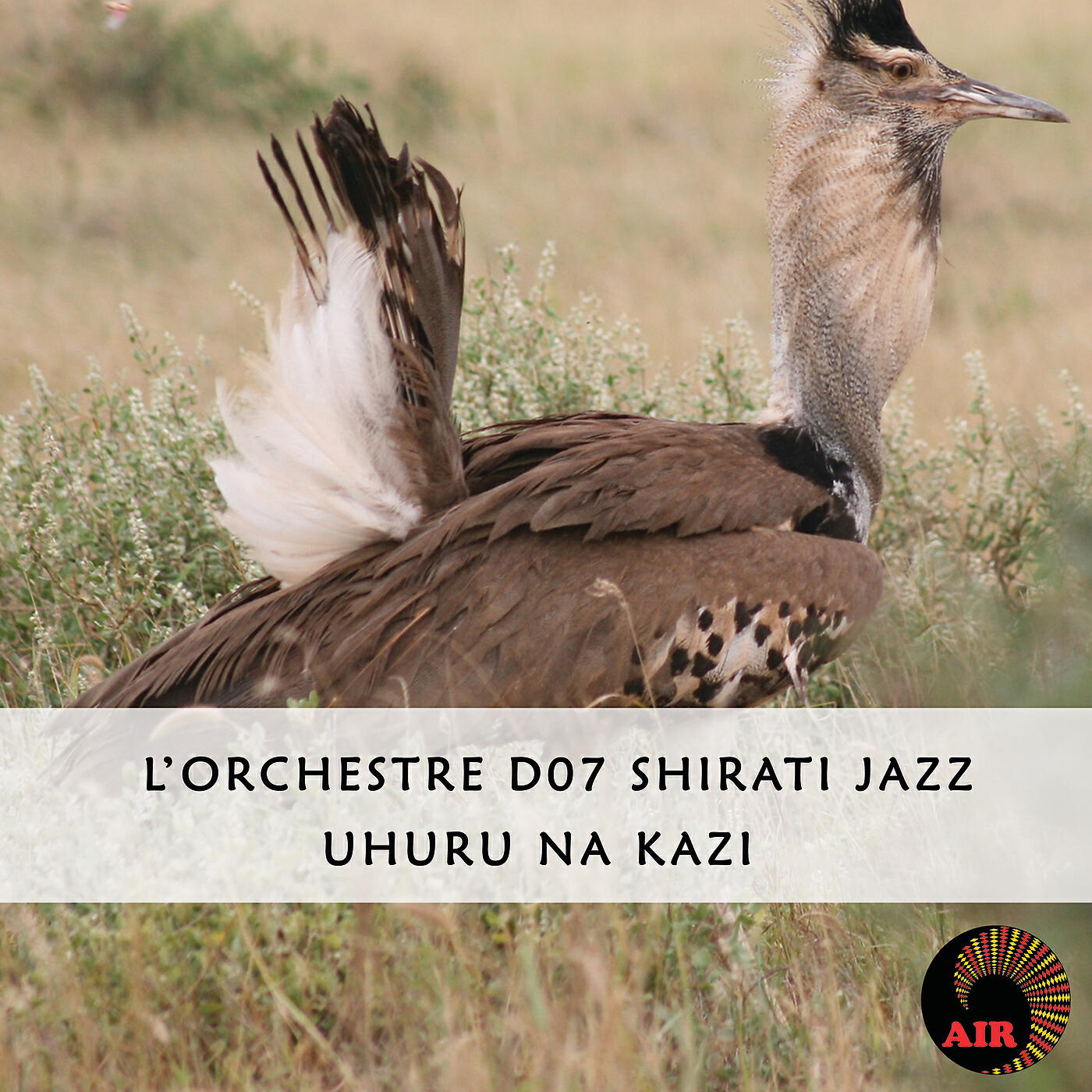 L'Orchestre D.O.7 Shirati Jazz - Achieng Jet (Pt. 3)