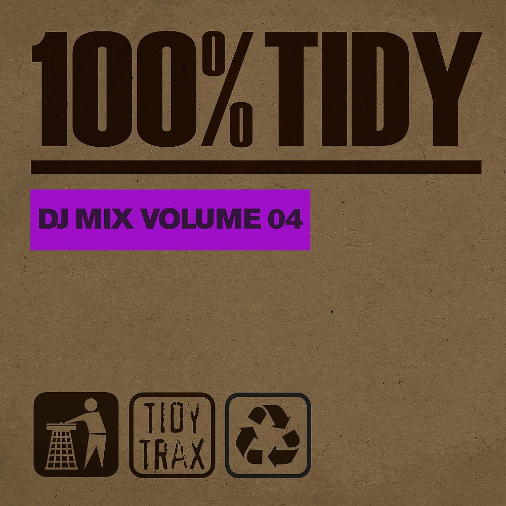 Постер альбома 100% Tidy, Vol. 4