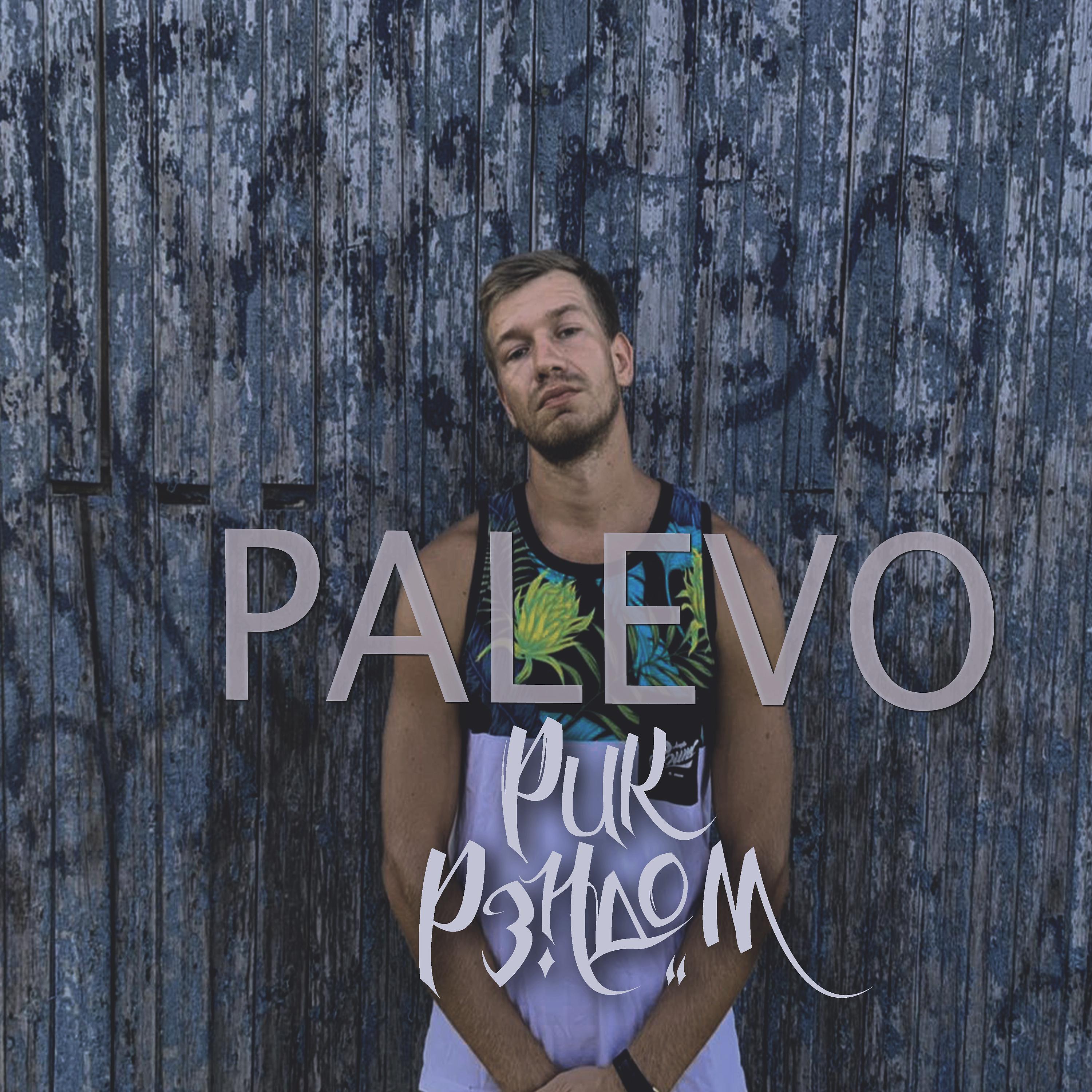 Постер альбома Palevo