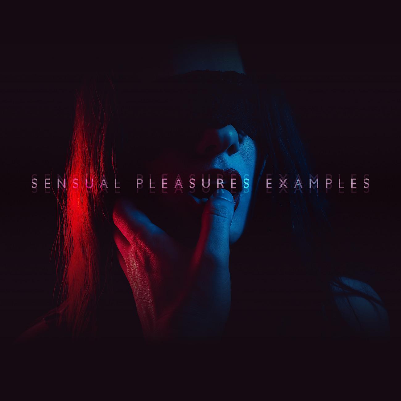 Постер альбома Sensual Pleasures Examples