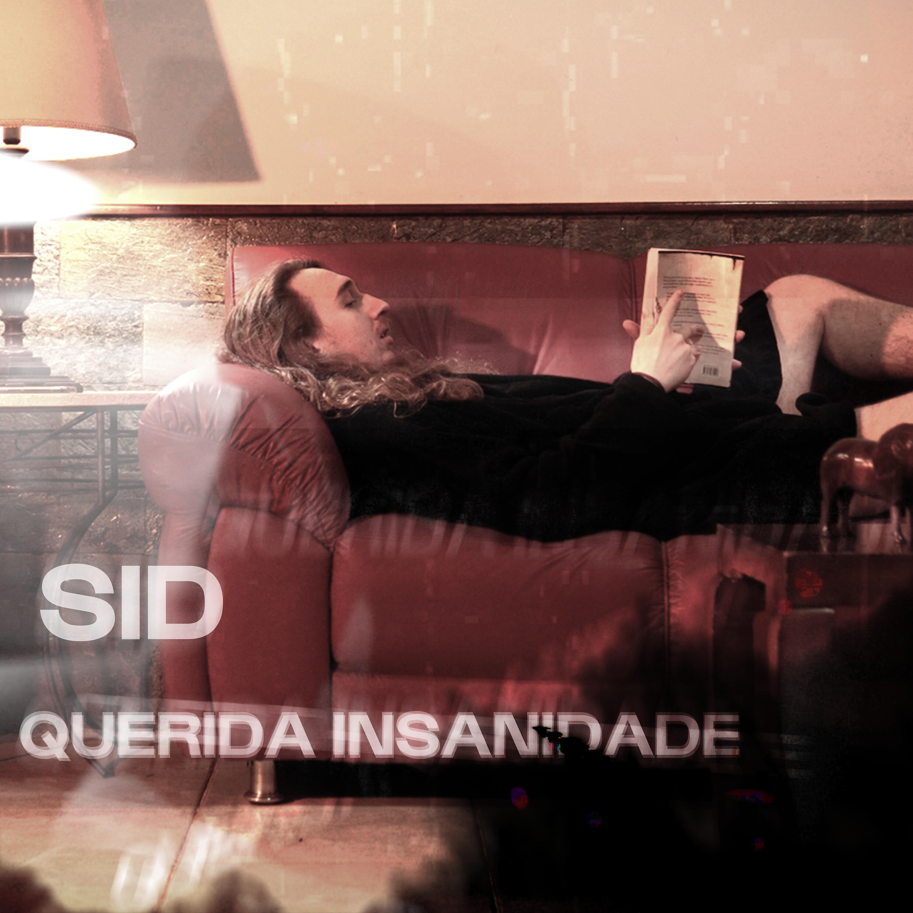 SID - Minha Querida Insanidade