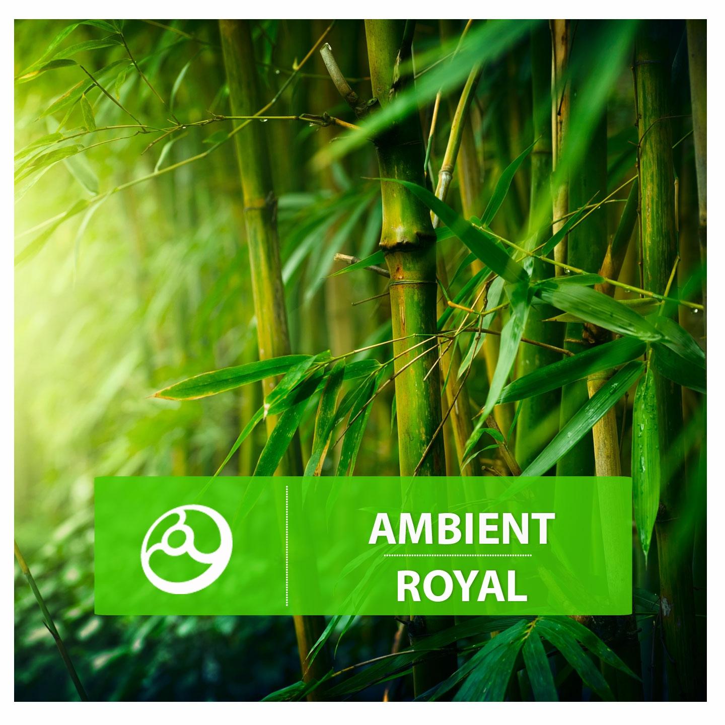 Постер альбома Ambient Royal