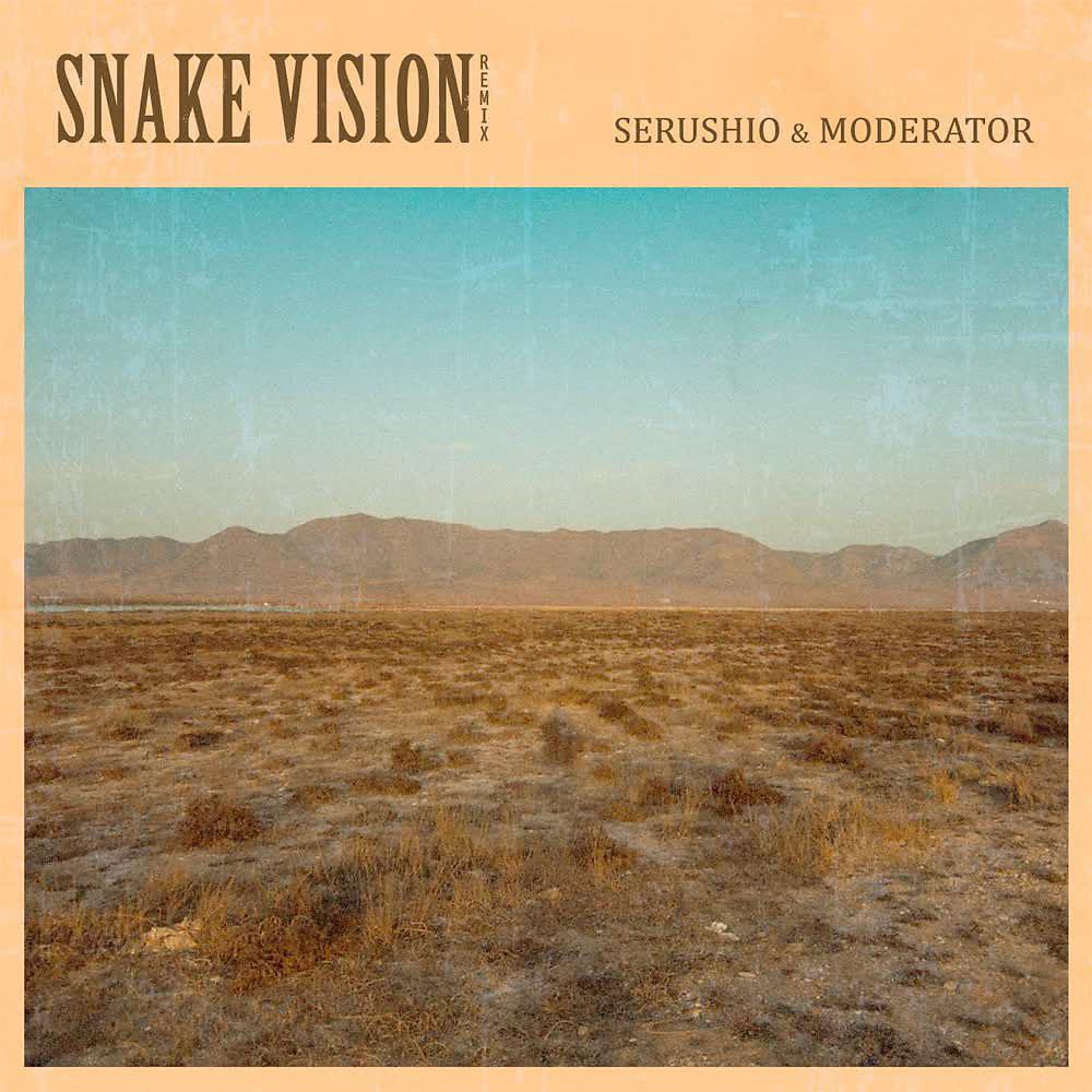 Постер альбома Snake Vision (Remix)
