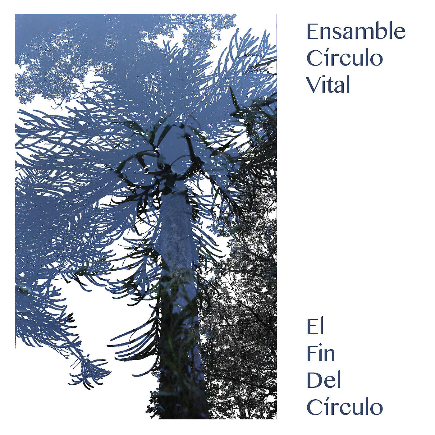 Ensamble Circulo Vital - Mantis / Círculo Vital