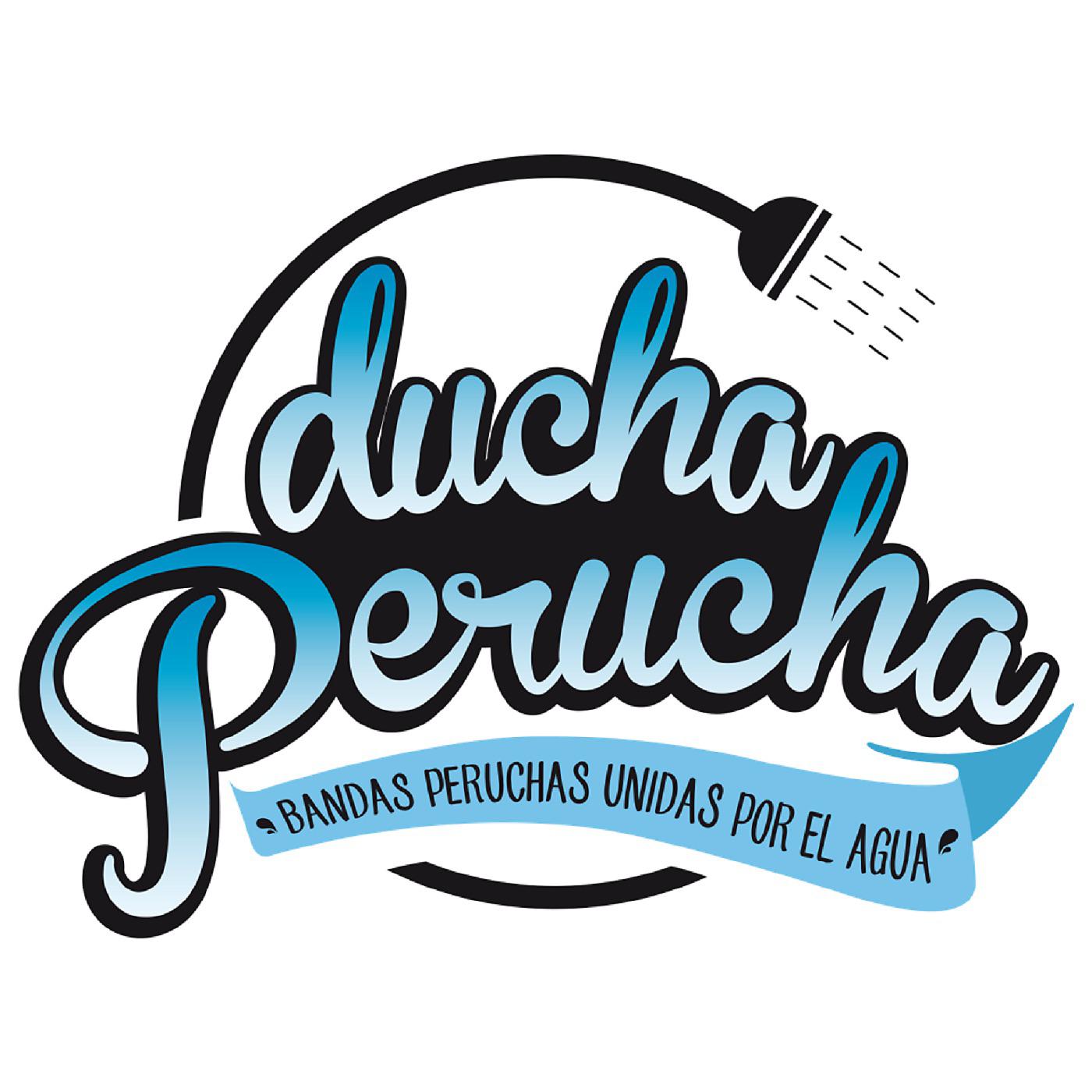 Постер альбома PELO MADUEÑO Mix Ducha Perucha