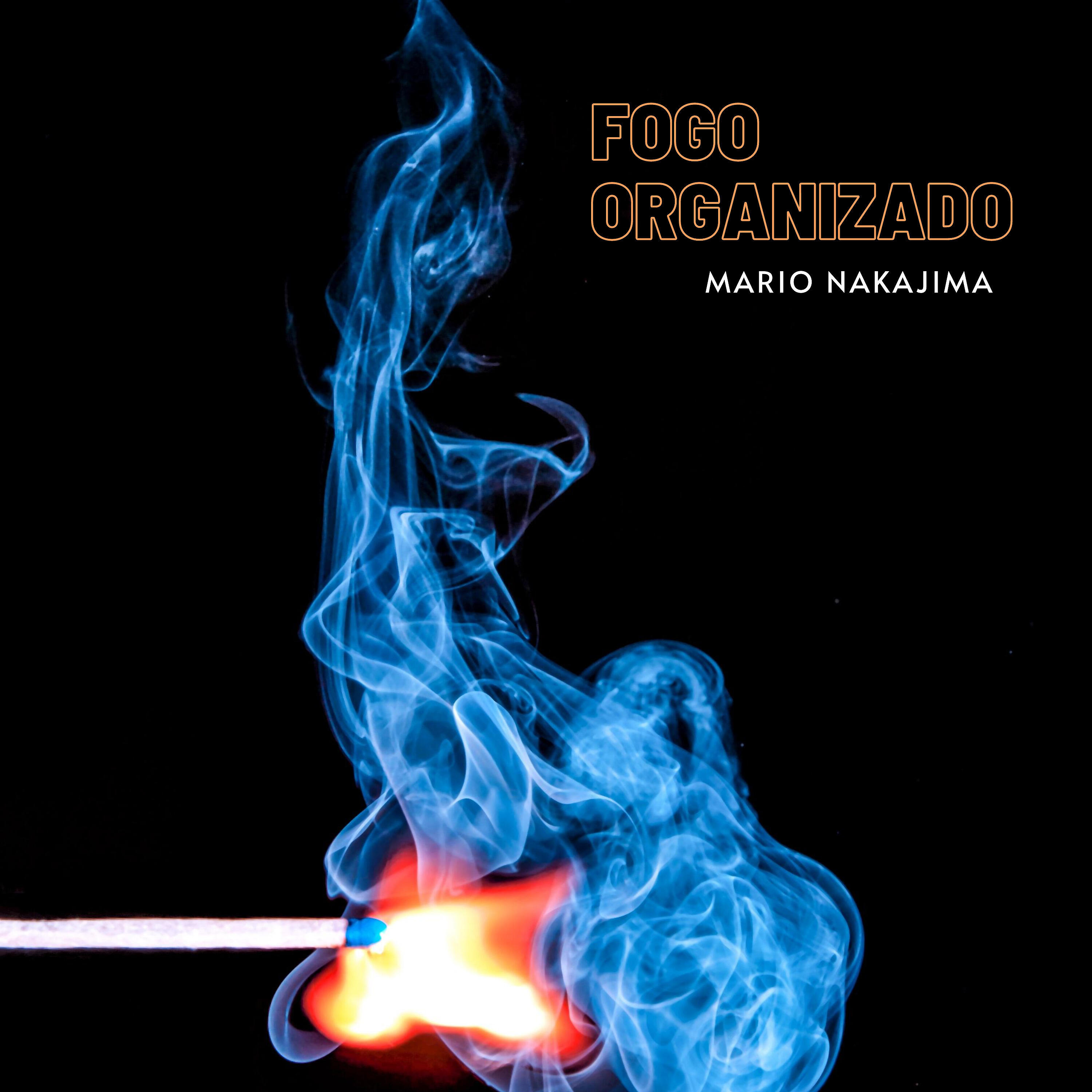 Mario Nakajima - Fogo Organizado