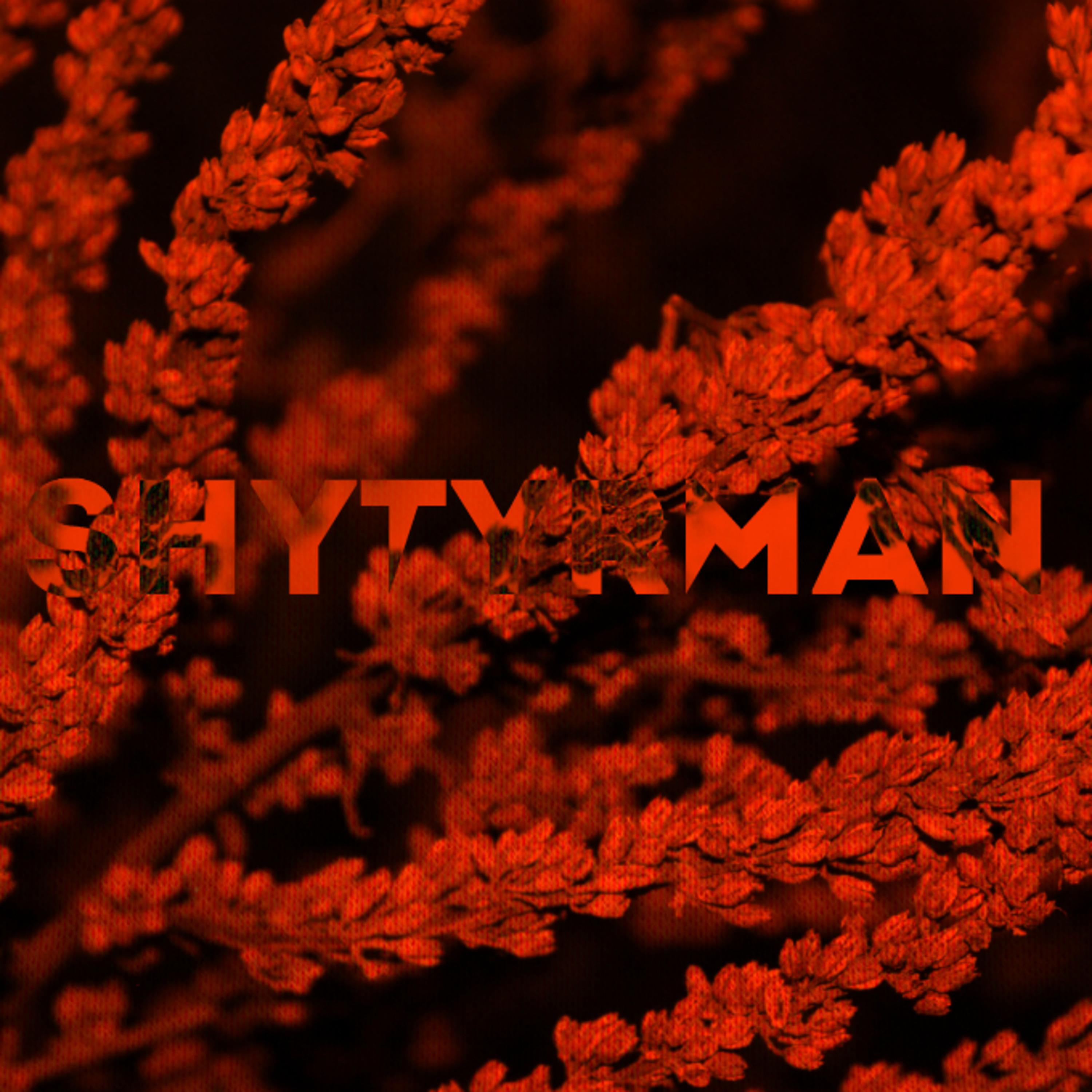 Постер альбома Shytyrman
