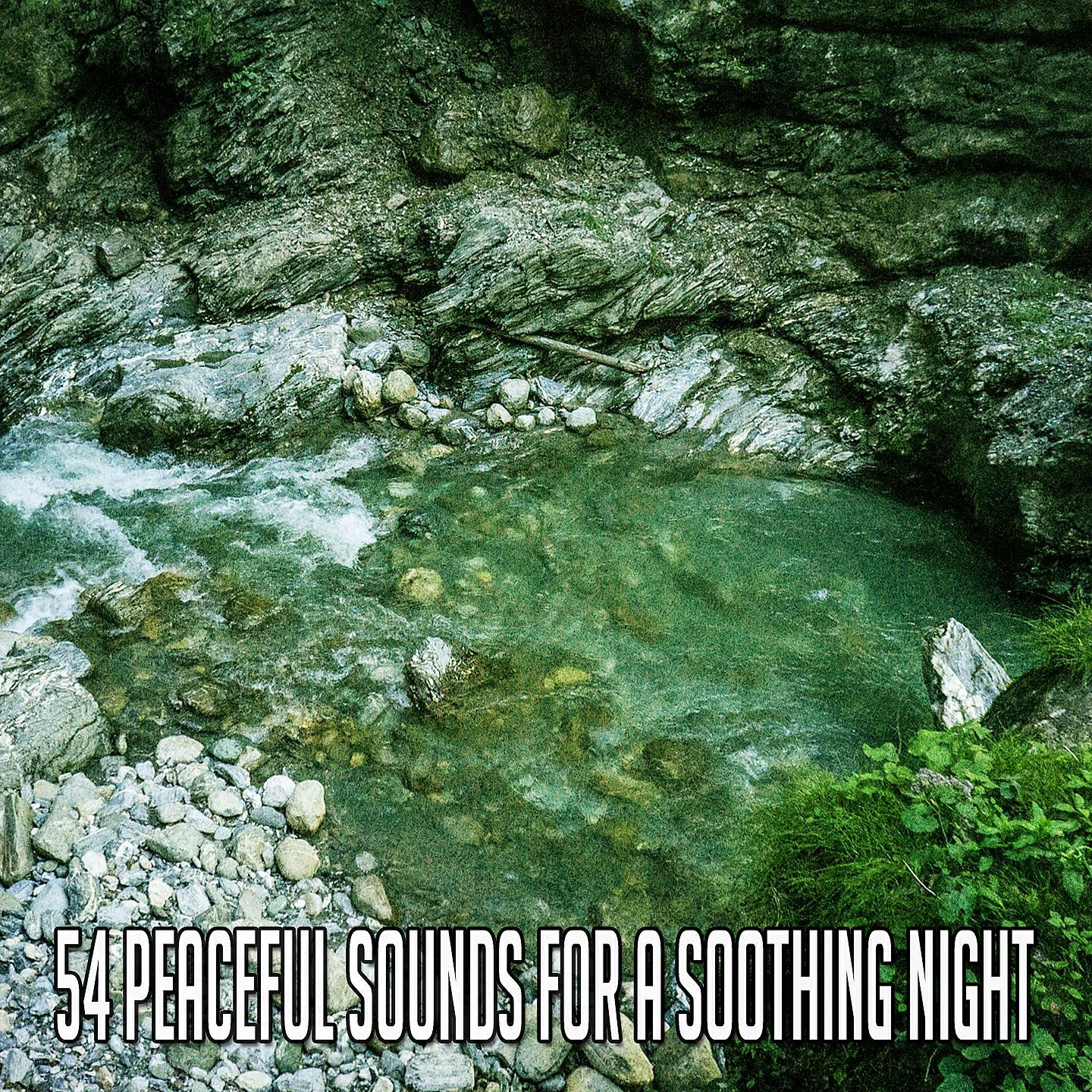 White Noise Baby Sleep - Lucious Lucid Dreams