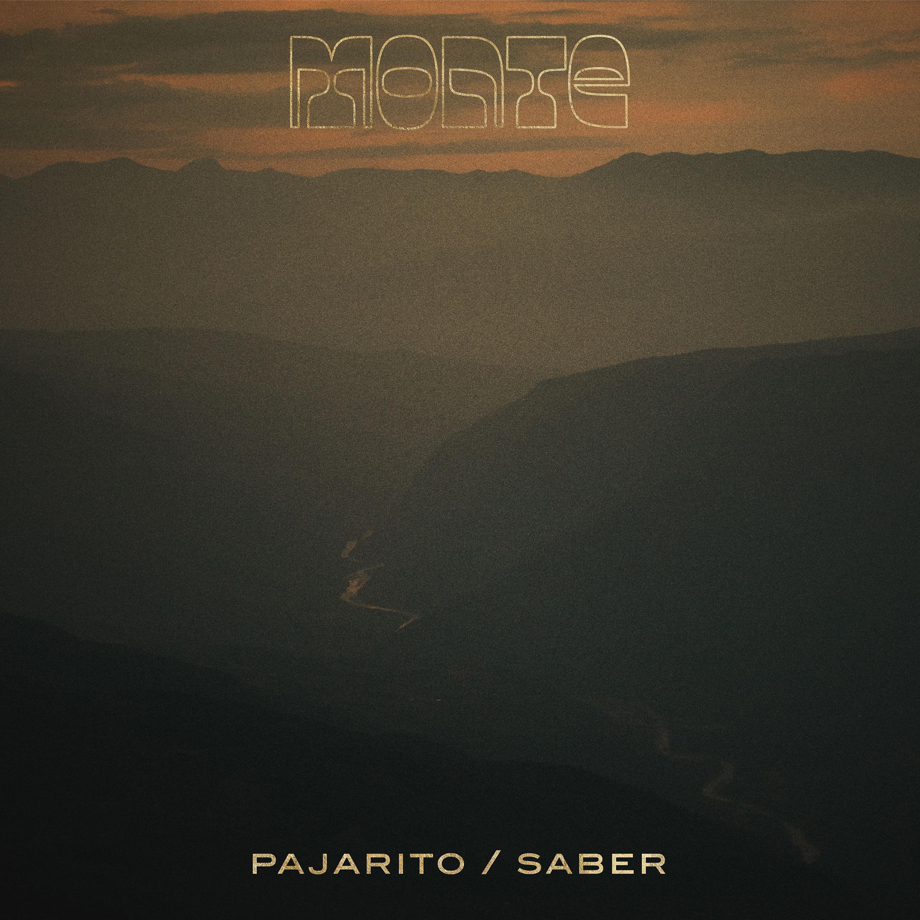 Постер альбома Pajarito / Saber