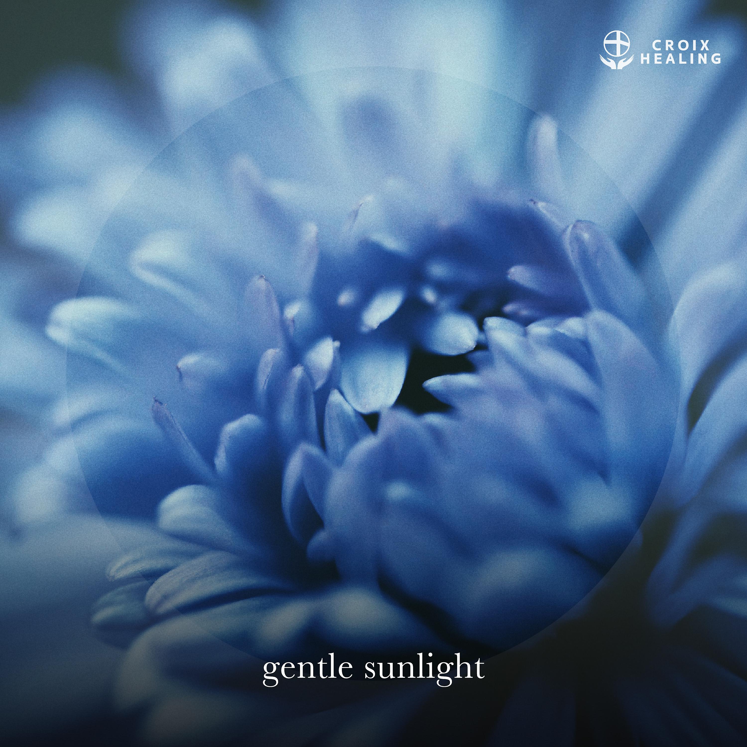 Постер альбома gentle sunlight