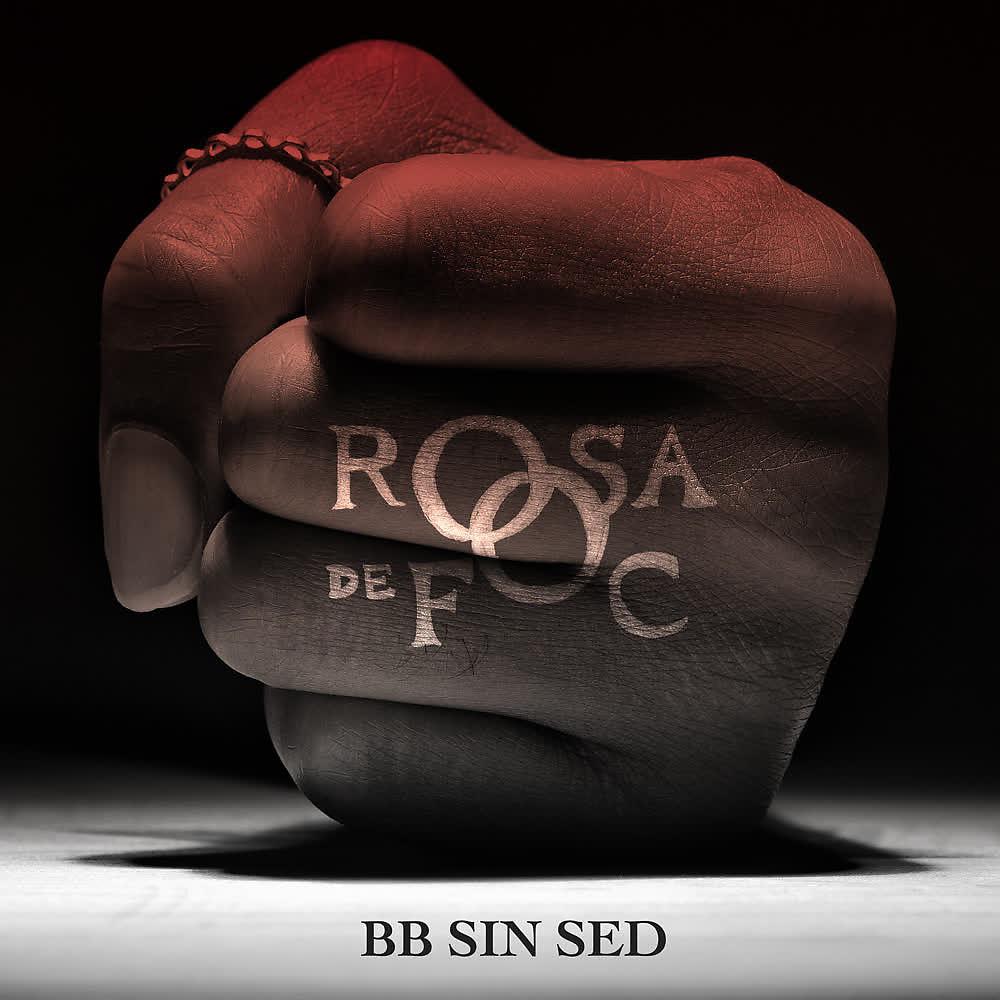 Постер альбома Rosa de Foc