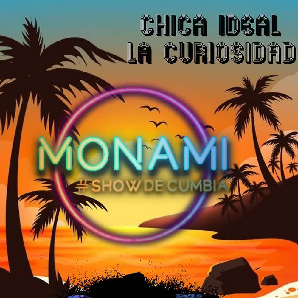 Постер альбома Chica Ideal / la Curiosidad (Cover)
