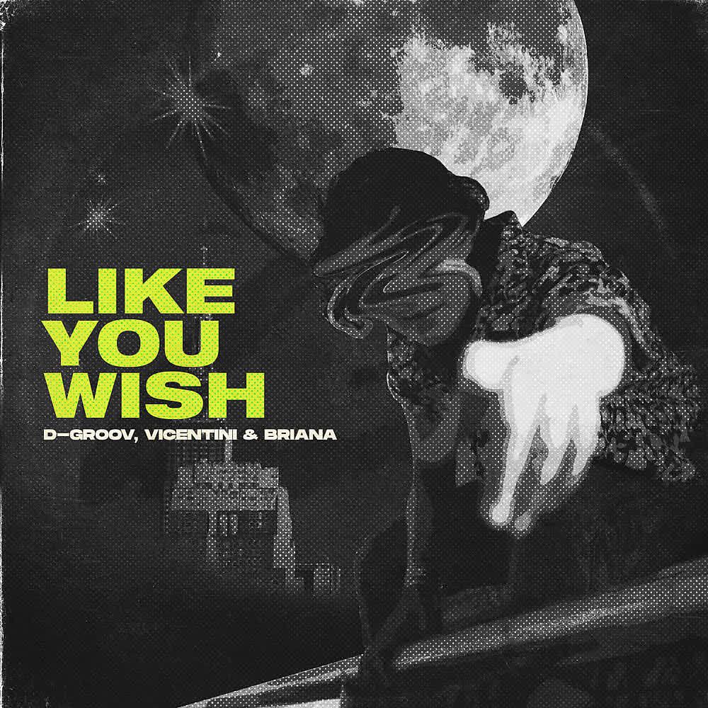 Постер альбома Like You Wish