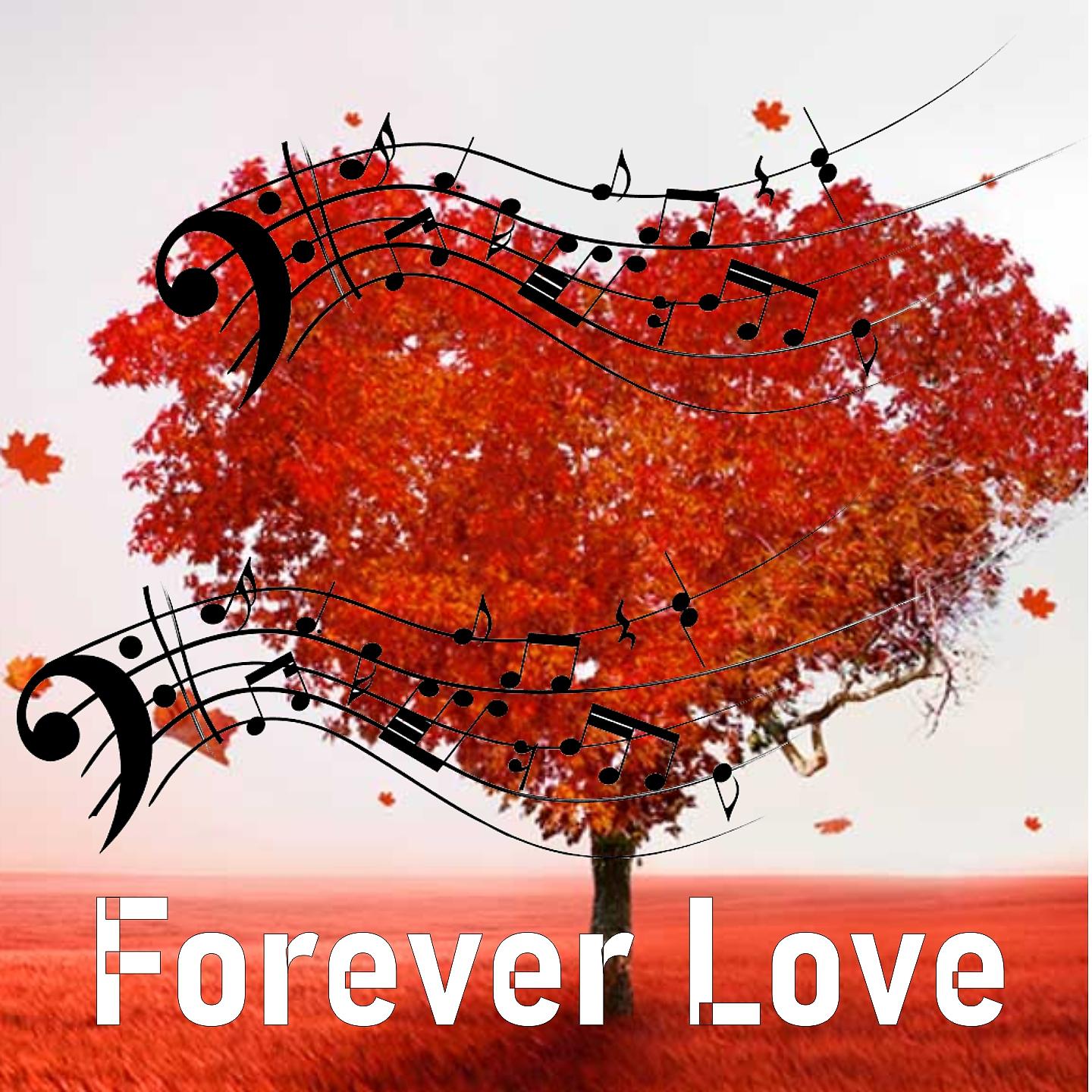 Постер альбома Forever love