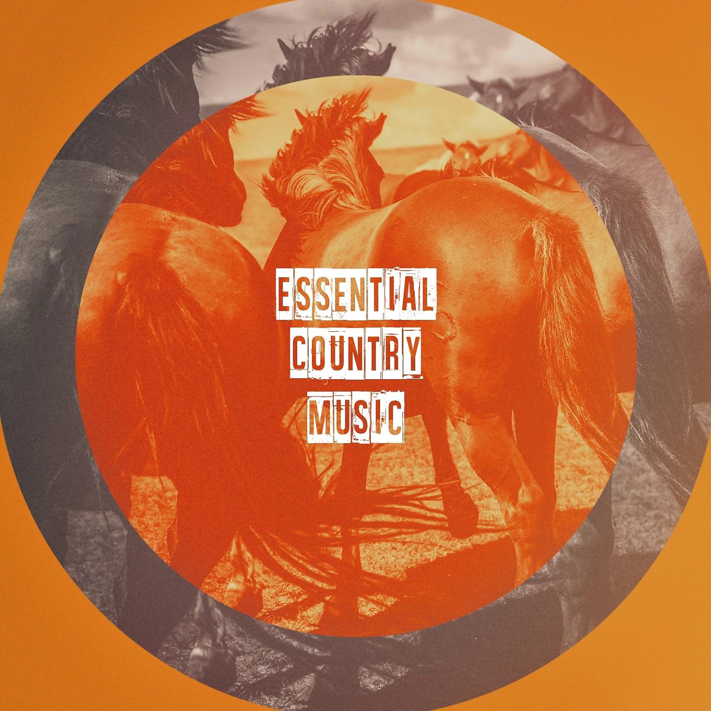 Постер альбома Essential Country Music