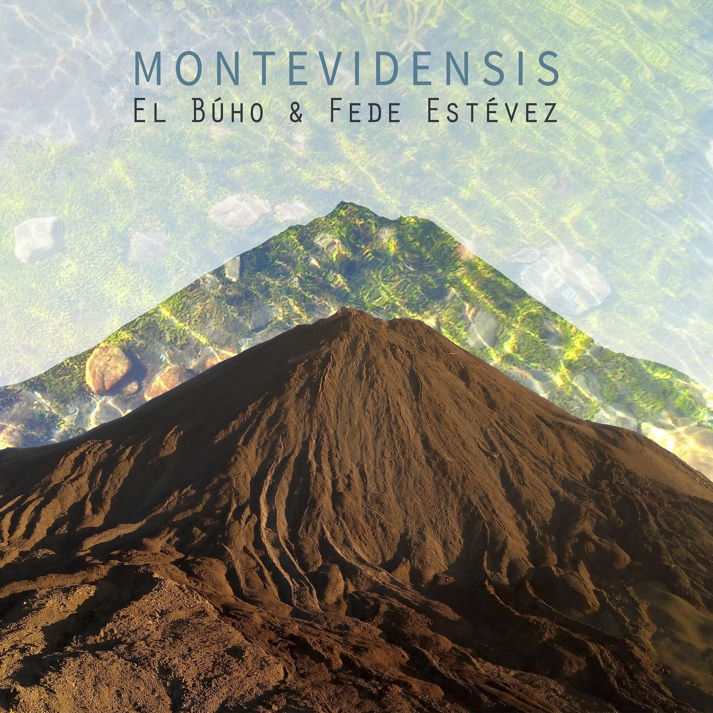 Постер альбома Montevidensis (El Búho & Fede Estévez)