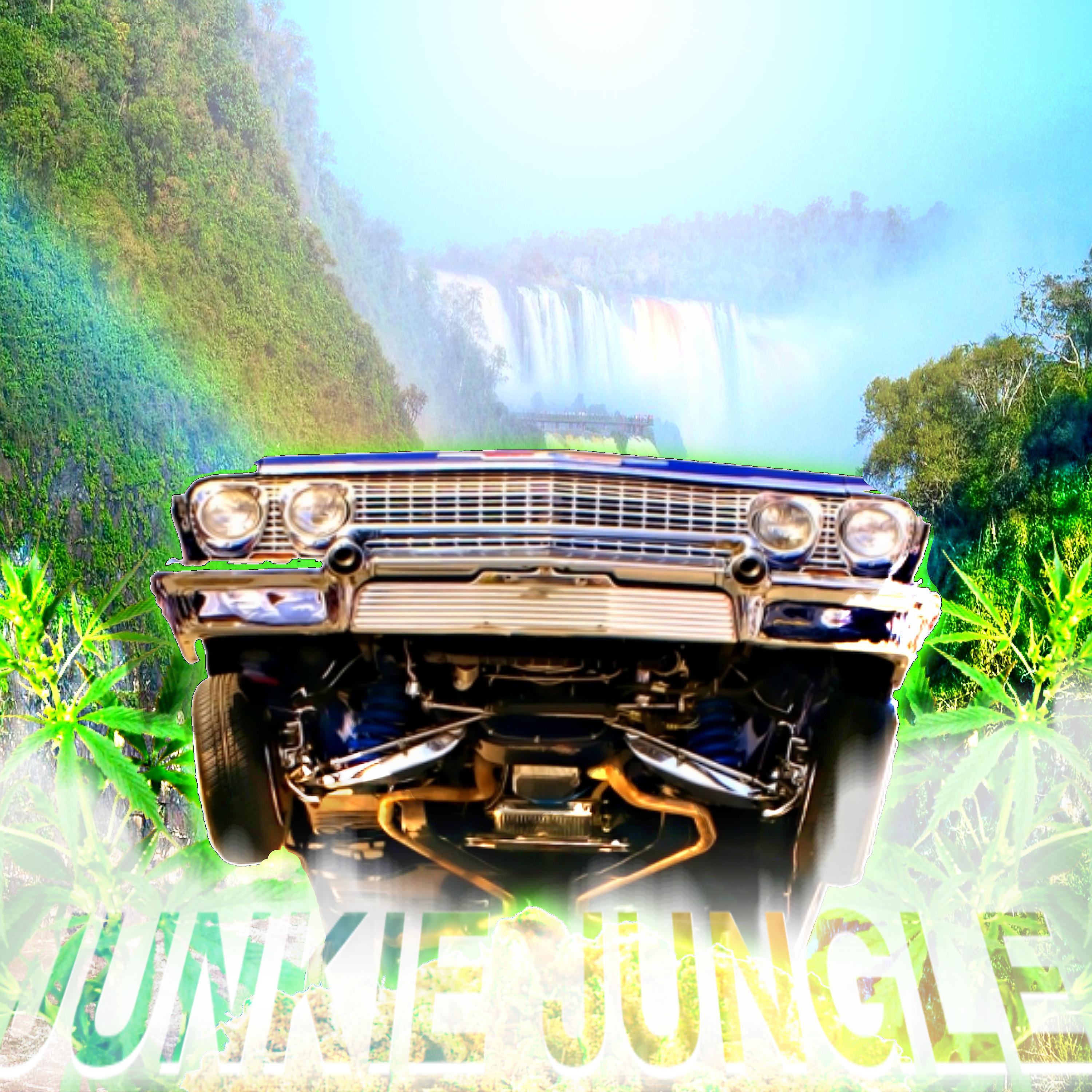 Постер альбома Junkie Jungle