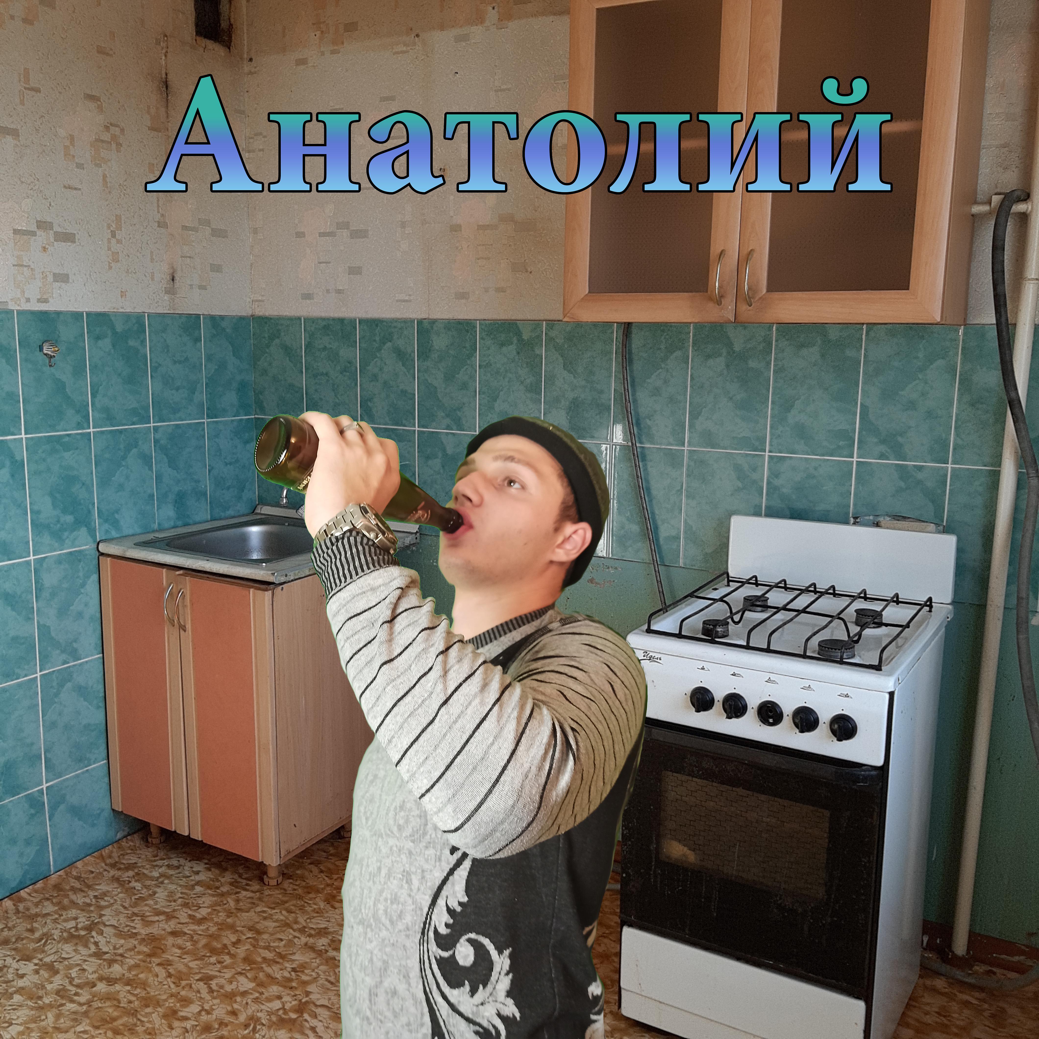 Постер альбома Анатолий
